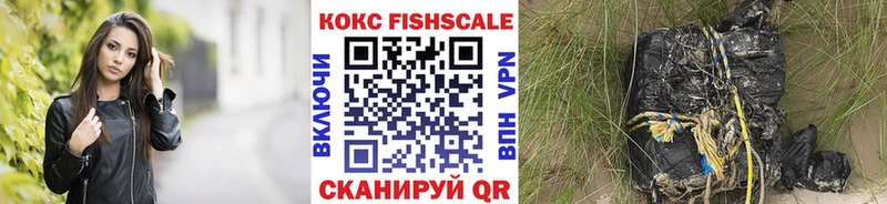 Cocaine Fish Scale mega Северобайкальск магазин продажи