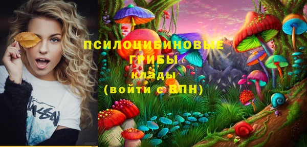 первитин Верея