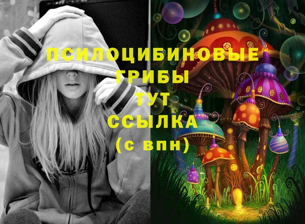 spice Верхний Тагил