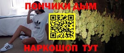 шишки Северобайкальск