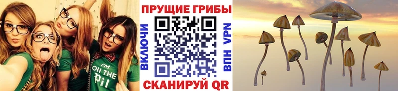Галлюциногенные грибы MAGIC MUSHROOMS Северобайкальск